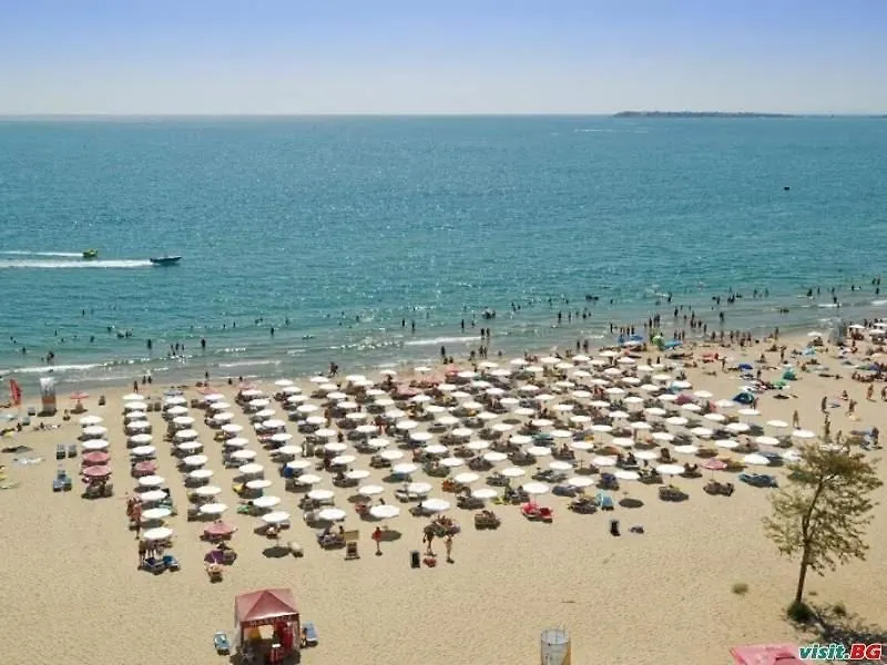 Sunny Dreams Slantchev Briag